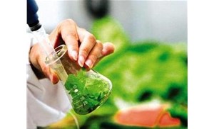 合肥食品檢測(cè)：重金屬元素中常見(jiàn)的元素有哪些？